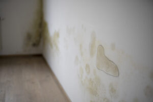 metody osuszania ścian